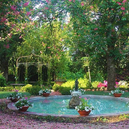 La Striscia Wine Resort 阿雷佐 外观 照片