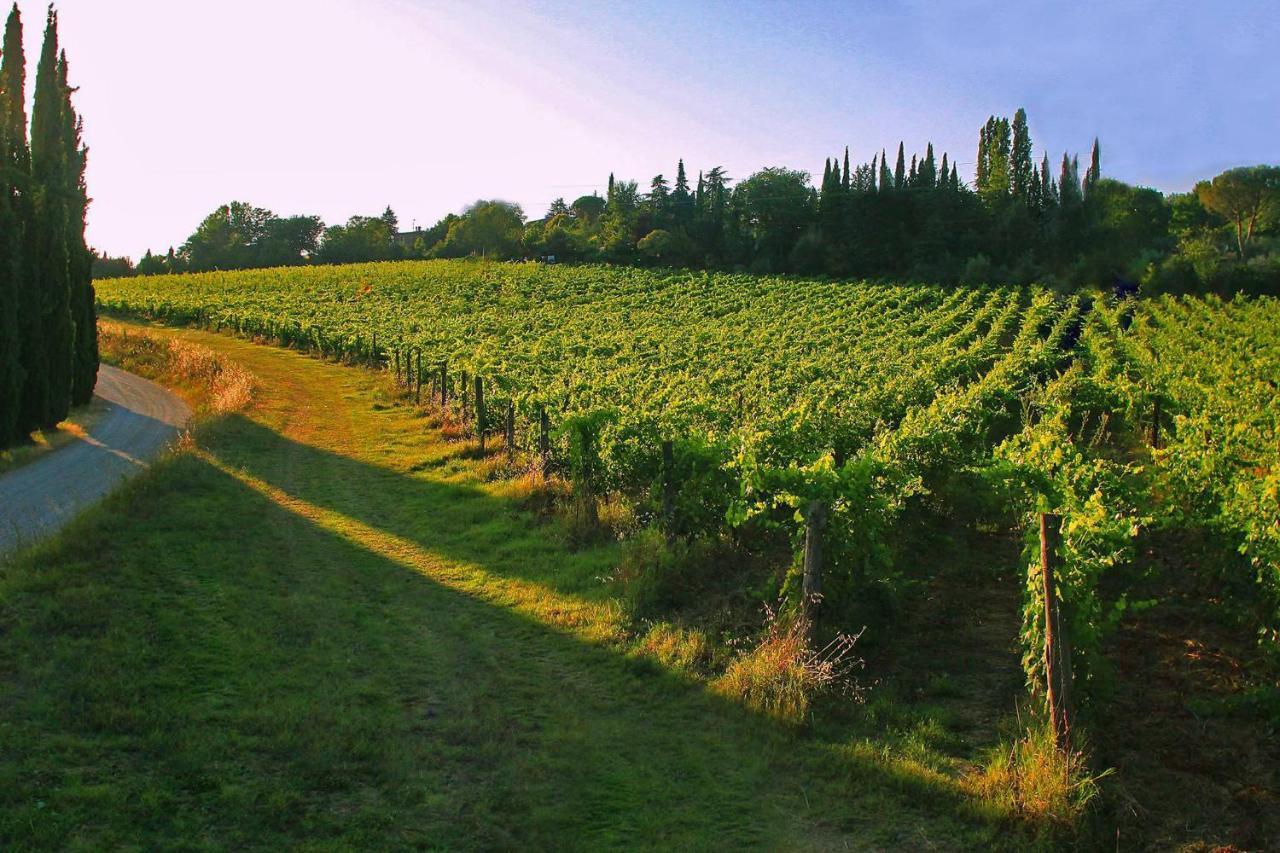 La Striscia Wine Resort 阿雷佐 外观 照片
